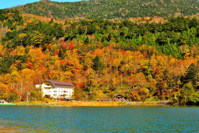 秋の湖畔では、色づく樹々を眺めてリラックスしたい