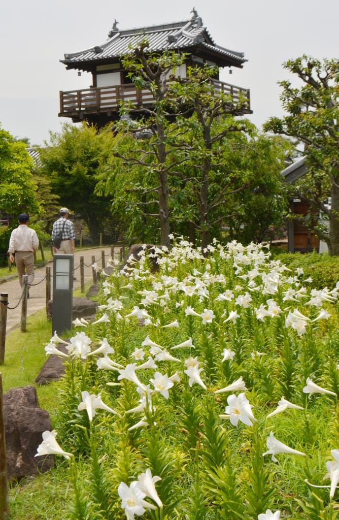 自然や歴史を楽しめる池田城跡公園も、市民にとって大切な場所です