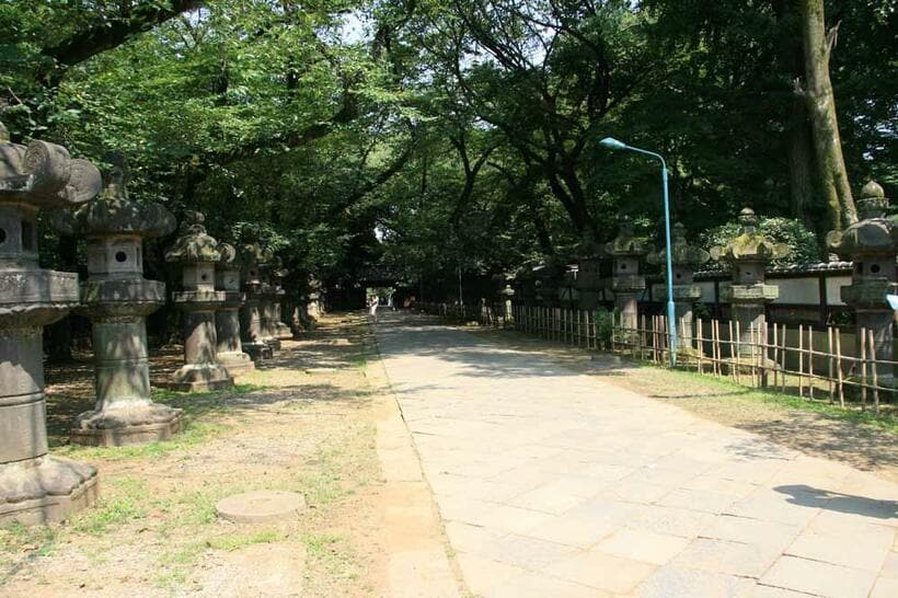 上野東照宮に奉納された石灯籠はかなりの数が今も残っている