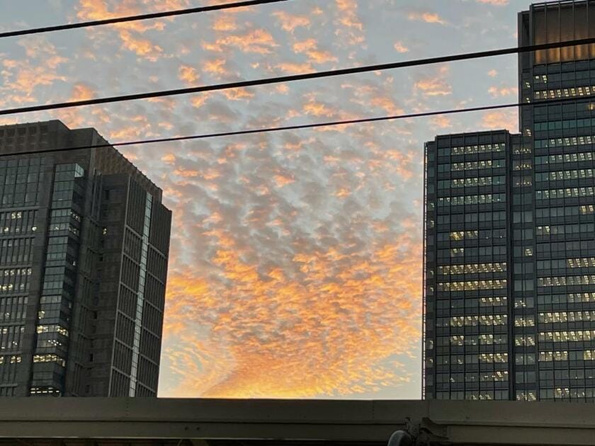 赤木雅子さんが新幹線から見た夕焼けに雲（筆者提供）