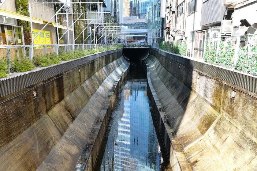 東京・渋谷を流れる渋谷川。渋谷ストリームの脇を流れ、川が見えなくなるポイントでもある（撮影／写真部・掛祥葉子）