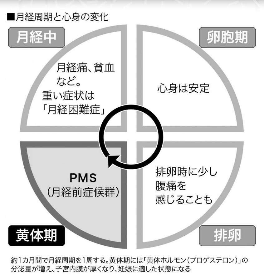 写真・図版(3枚目)| 月経前の不調で約6割の女性が「退職や昇進辞退を考えた」という調査も 医師が解説する原因