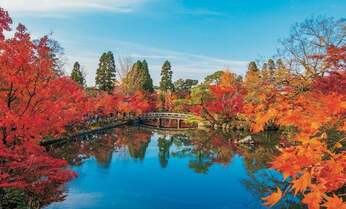 【絶景さんぽ】時を超えて人々を魅了 紅葉の名所「京都・永観堂」