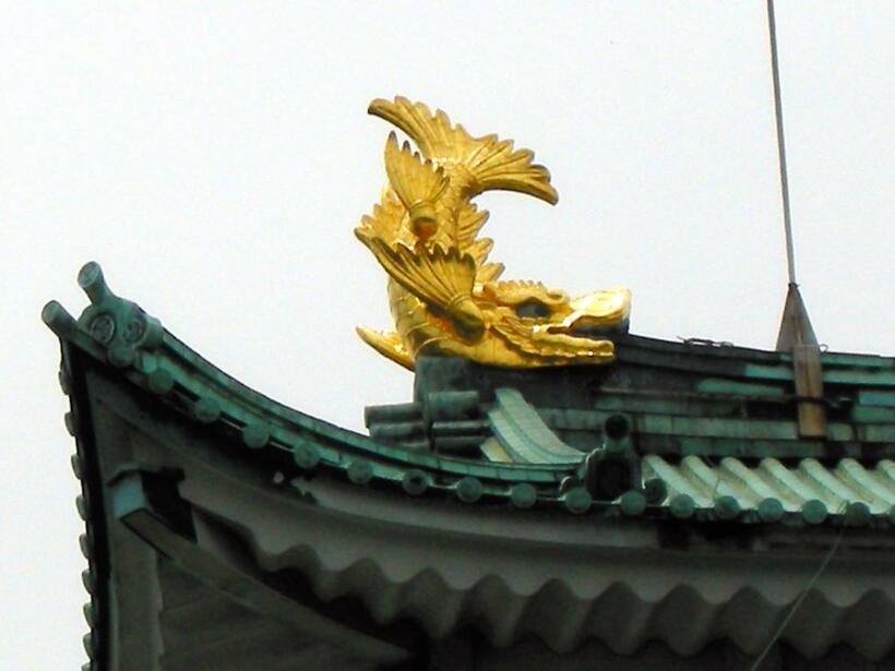 名古屋城の金のしゃちほこ。2014年5月撮影。（写真／朝日新聞社）