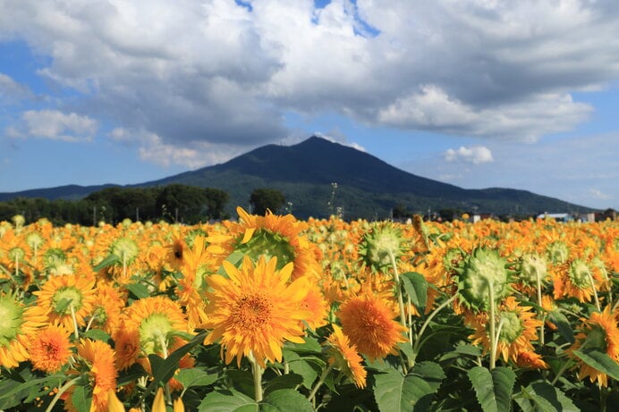 ※写真はイメージです