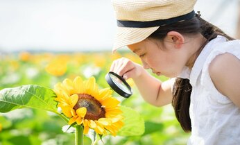 「悩んだ」「苦しめられた」夏休みの自由研究 「自力でやった」は6割 “難敵”に家族で取り組んだ思い出も【AERAアンケート結果発表】
