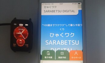 「自治体はいいカモ」交付金に群がるコンサル 「デジタル農村」めざした3千人の村の現実