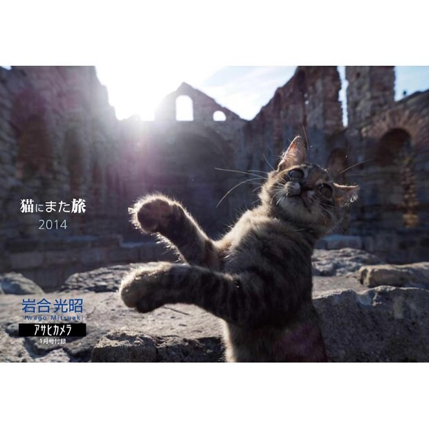 特別付録・岩合光昭カレンダー「猫にまた旅2014」から