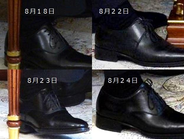 【写真6】プーチンの靴の拡大写真