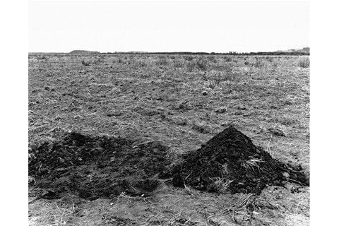 写真・図版（1枚目）| 2015-02-17 00:00