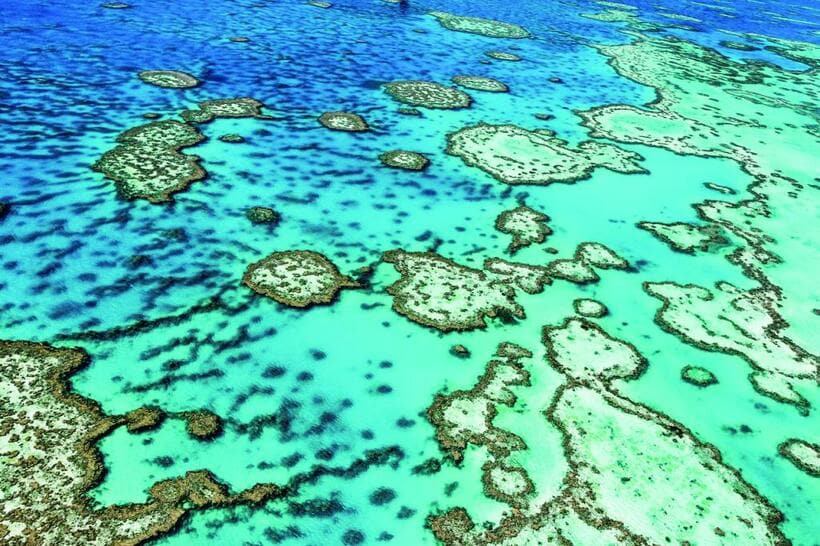 写真・図版（1枚目）| 【絶景さんぽ】世界最大のサンゴ礁群　豪州「グレート・バリア・リーフ」