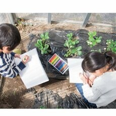 自由研究を子どもが最後までやりきるための「3つの戦略」とは？　理科のプロに聞く