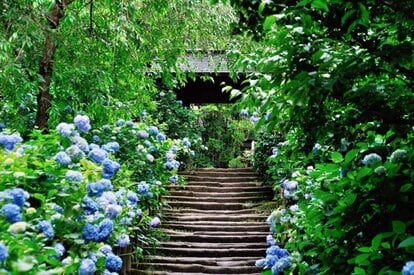 明月院・山門前