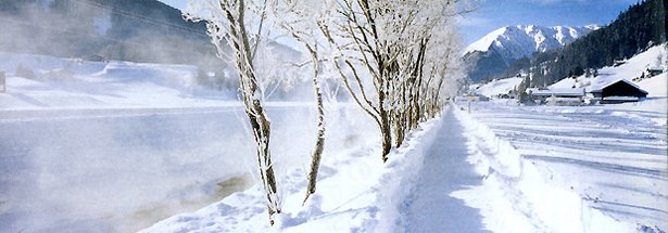 スイスでの零下20度の世界。樹氷と雪、川から立ち上る湯気の質感など、TX-1の描写力が見事に生かされている。撮影で手に凍傷を負ったという出井さんにとっても思い出深い一枚である