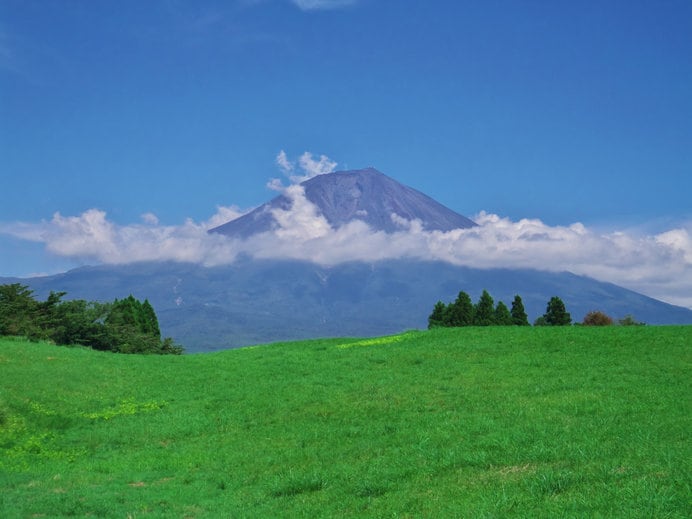 富士山の撮影スポットとしても人気の朝霧高原