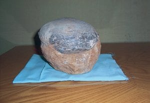 恐竜の卵の化石