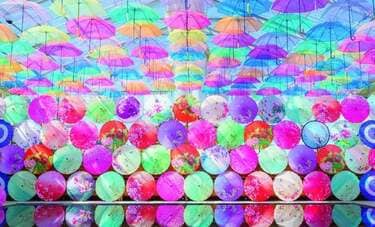 【絶景さんぽ】カラフルな傘が水鏡に映り込む「アンブレラスカイ」