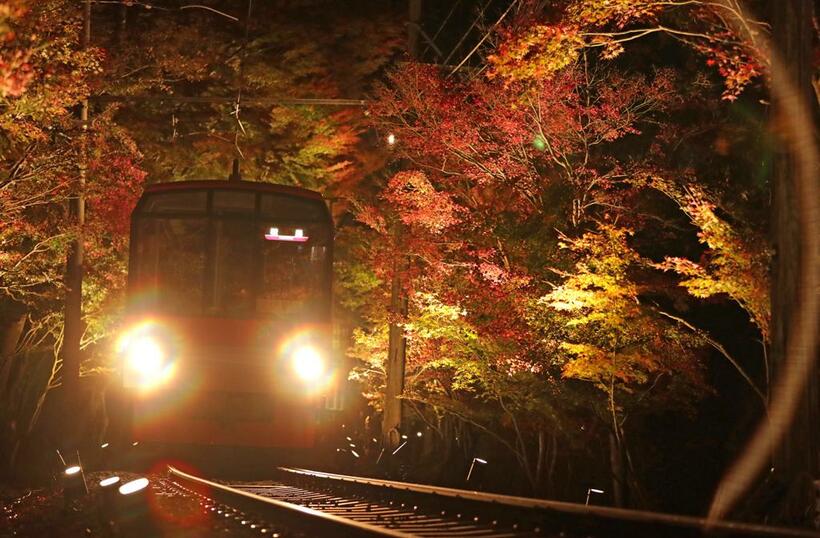 叡山電鉄の市原～二ノ瀬間にある「もみじのトンネル」は車窓からのみ楽しめる（Ｃ）朝日新聞社