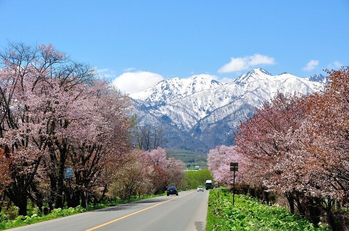 芦別岳をバックに