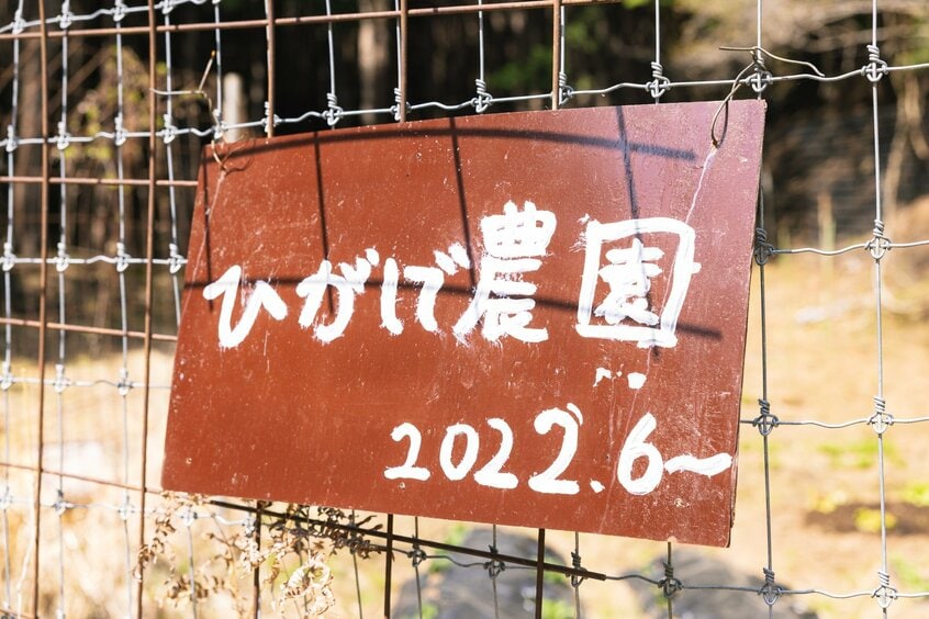 小屋の近くには「ひがしで農園」のプレートをつけた畑で野菜を育てる。じゃがいも、大根、パクチー、行者にんにくなどその数10種類以上/撮影・上田泰世(写真映像部)