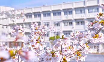 関西は14年ぶりに受験率10%超え 東海も志願者数過去最高の学校が続々と【中学受験2023】