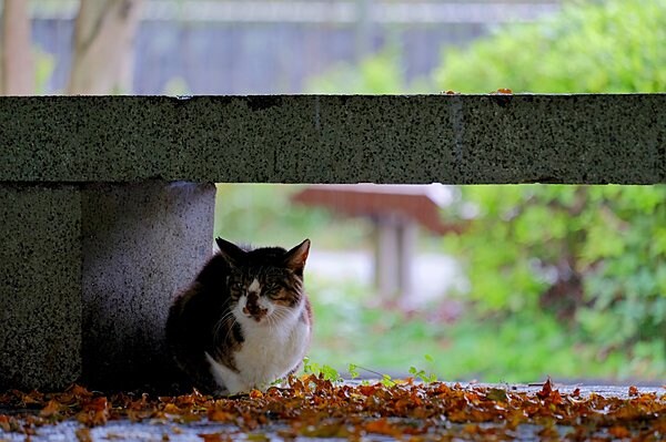 降り続く雨の季節。梅雨を快適に乗り切るちょっとしたコツをご紹介