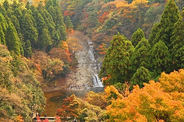 千葉県にも「養老渓谷」はありますが、画像は昔話の親孝行物語の舞台にもなった「養老の滝」を擁する岐阜県の「養老渓谷」