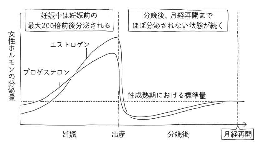 妊娠・出産と女性ホルモン分泌量の変化のグラフ