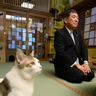 〈石破内閣誕生へ〉政治家・石破茂の都市伝説「ネコにやたらに愛される」を検証してみた