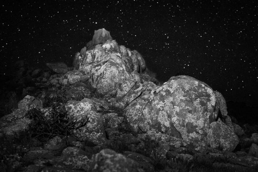 南の砂漠を旅したときにたまたま出合った場所。テントを張って星を撮影していたところ、ヘッドライトで岩を照らして撮るとすごい光景に。「こりゃ面白い」と撮影