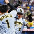 阪神が「新・球界の盟主」へ着々 唯一の心配は気の緩みから来るスキャンダル?