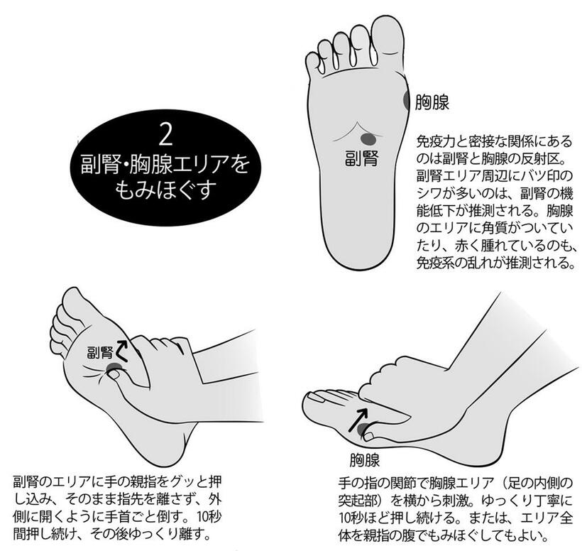 ２　副腎・胸腺エリアをもみほぐす　（週刊朝日２０１９年１１月１５日号より）