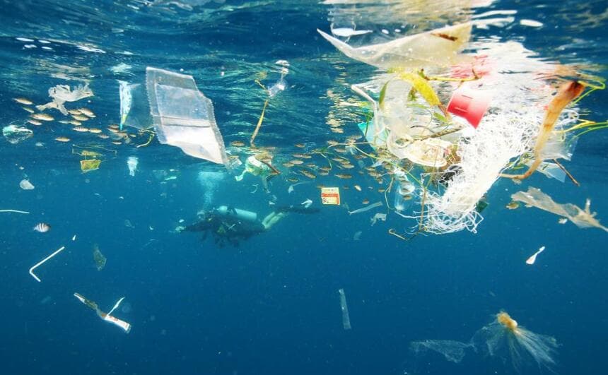 海に捨てられたプラスチックごみが海の生物に深刻な問題となっている　（C）朝日新聞社
