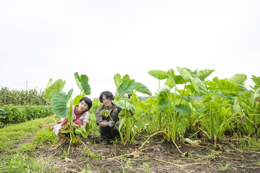 熊谷さんと友美さん。サトイモ栽培中の畑で（写真：熊谷さん提供）