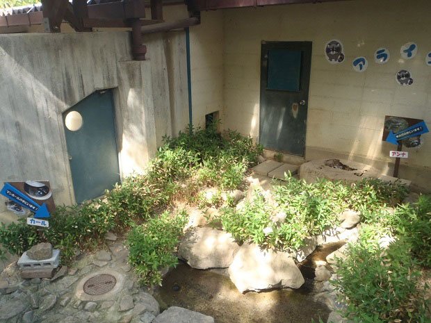 カールの飼育室。左下のマンホールに潜る（写真：茶臼山動物園提供）