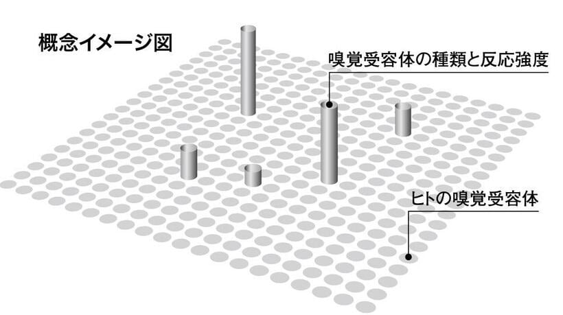 においのデジタルデータのイメージ図。人間の嗅覚受容体を発現した細胞を400種類並べ再現した人工の鼻で、においの種類や強さの反応を蛍光センサーによって計測する（香味醗酵提供）週刊朝日　２０２３年１月２７日号より