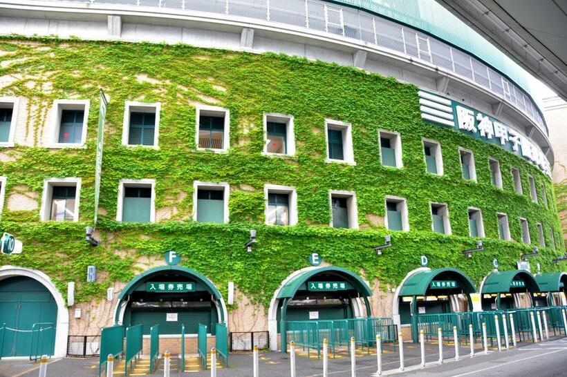 今年も多くのドラマが生まれている夏の甲子園