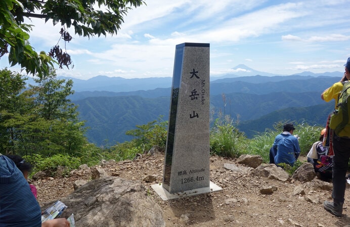 東京とは思えないほど豊かな自然が出迎えてくれます