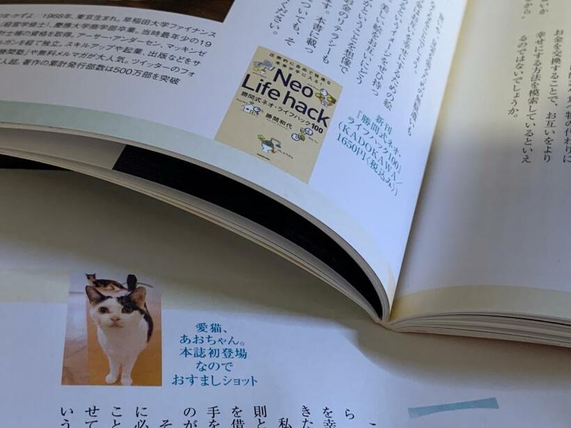 AERA Money誌面では愛猫のあおちゃんや新刊『圧倒的に自由で快適な未来が手に入る！ 勝間式ネオ・ライフハック100』（KADOKAWA）も紹介（撮影／伊藤忍）