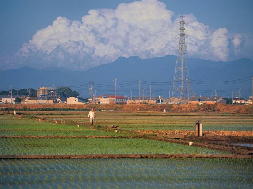 秋山兄弟や子規の故郷、松山市の郊外