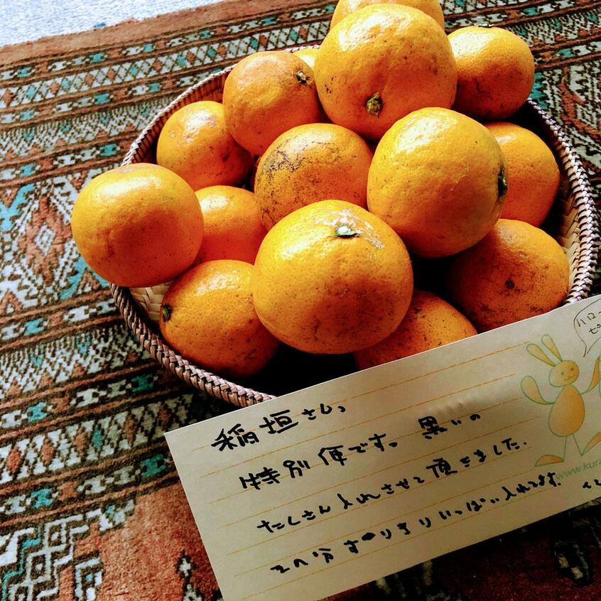 和歌山の友人農家から見た目は悪いが最高に美味いミカンが届く。年に一度の至福!(写真:本人提供)