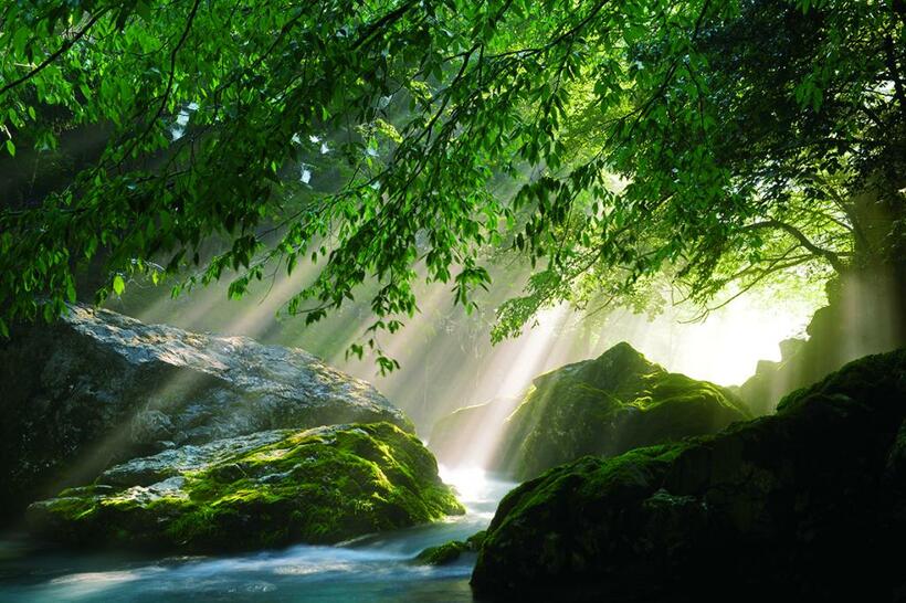 円原川。水量が豊富で気温差の大きな夏は光芒を撮影するチャンス