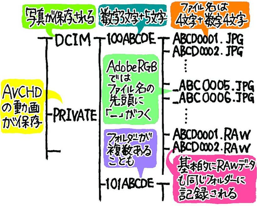 【デジタルカメラのメモリーカードのフォルダー】ＤＣＩＭの中に作られるフォルダーに写真の画像ファイルが収まっている。カメラ映像機器工業会の「カメラファイルシステム規格ＤＣＦ2.0（２０１０年版）」（ＣＩＰＡ ＤＣ－００９－２０１０）で基本的なフォルダー構造やファイル名は決められている（イラスト／やまもと妹子）