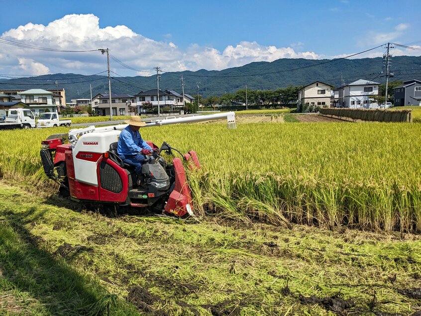 現在、国が行っている米の流通経路の調査にはあまり意味がない。消費者米価の価格形成力を握る大手スーパーには中小の卸売業者が入る余地はないからだ=米倉昭仁撮影