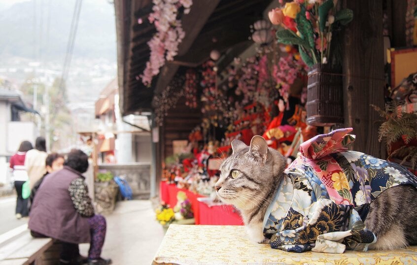 徳島県の勝浦ビッグひな祭りを訪れたこよみちゃん。のどかな街並みにすてきな着物が映えます（撮影／夜行さん）
