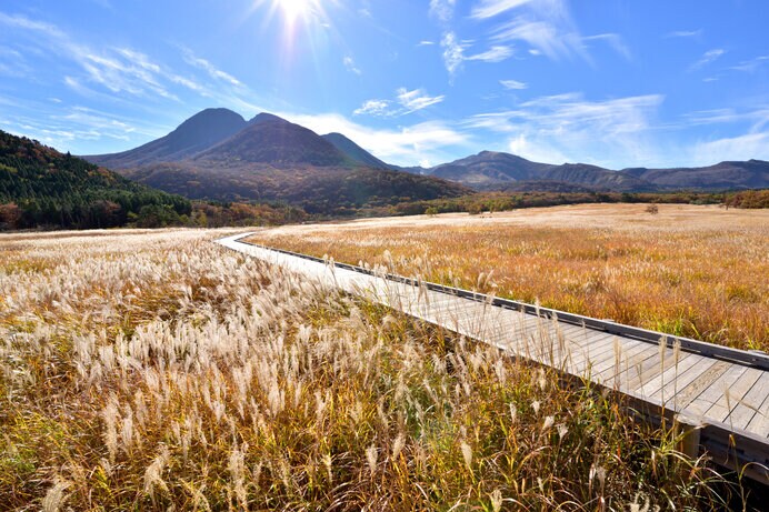 タデ原湿原自然研究路（大分県）