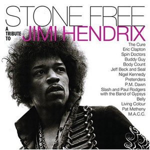 『STONE FREE: A TRIBUTE TO JIMI HENDRIX』VARIOUS ARTISTS
<br />