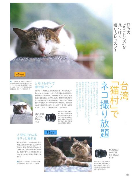 台湾＿“猫村”にて