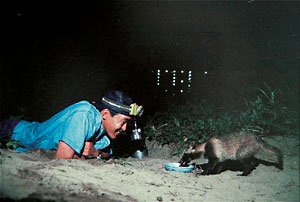 1996年、ニコンFM2にレリーズをつけて、夜、自宅近くの土手で撮影。タヌキとのツーショットには観察も含めて3年かかったという