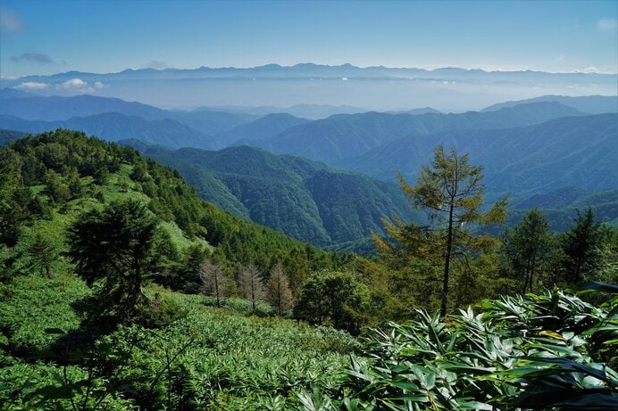 山頂からは南アルプスの山々を望めます